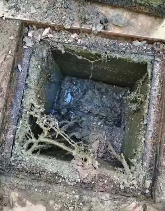 Cámara de alcantarillado con una mata de raíces creciendo desde la pared y sedimento acumulado en el fondo