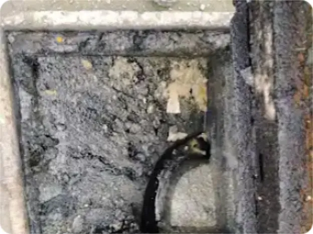 Grasa y sedimento acumulado en las paredes de la cámara