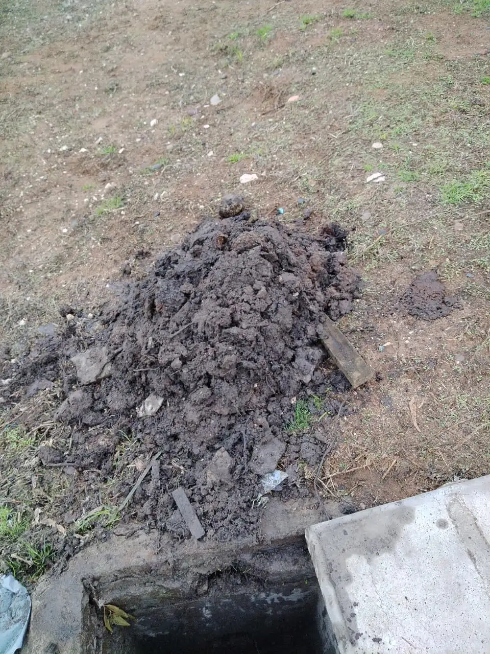 Embanque extraído de la red, acumulado junto a la cámara después de la limpieza