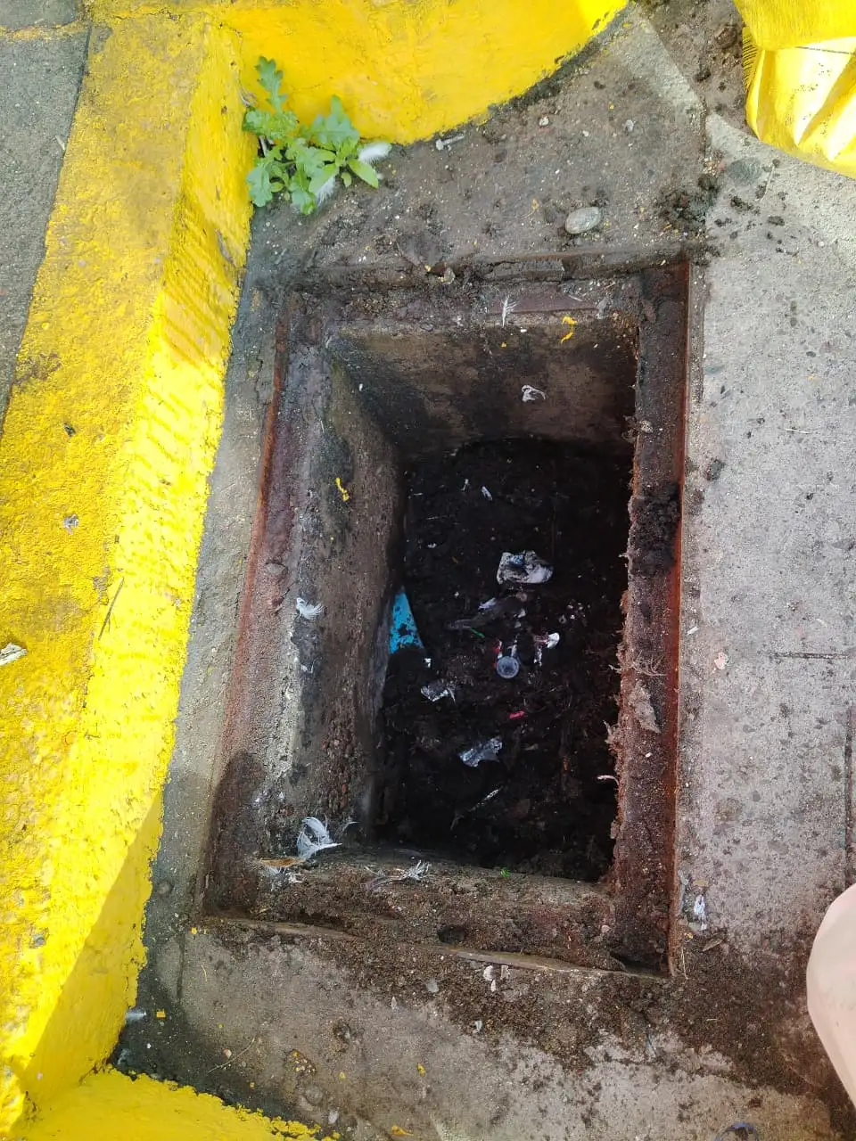 Sumidero de calle con basura y sedimento acumulado antes de la limpieza